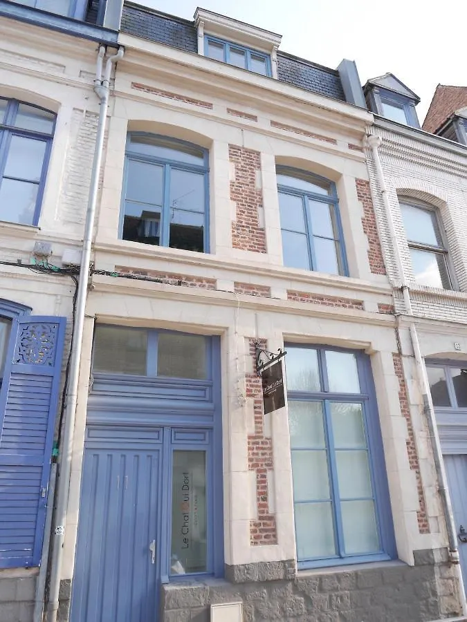 Au Chat Qui Dort Lille - Magasin
